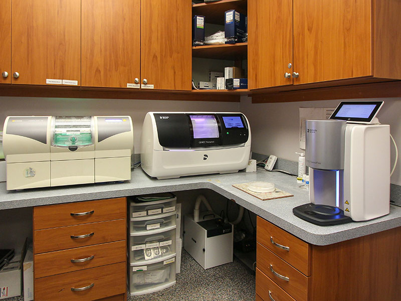 B G Dental | Six Month Smiles reg , Preventative Program and Dental Cleanings